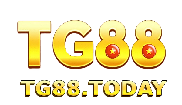tg88.today