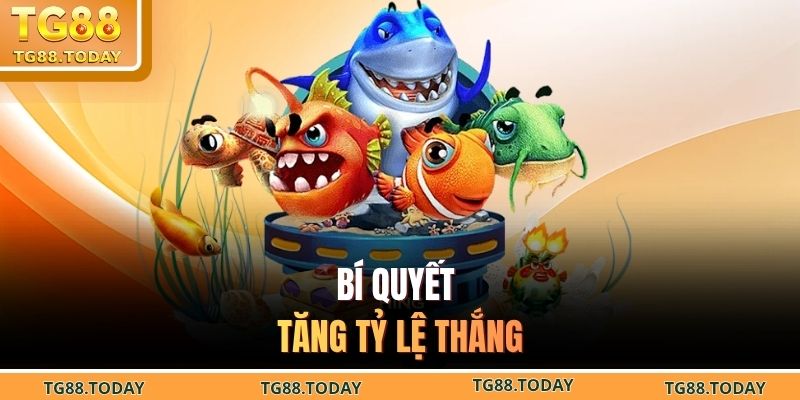 Bí quyết tăng tỷ lệ thắng