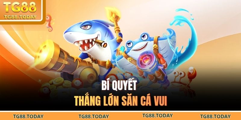 Bí quyết thắng lớn săn cá vui