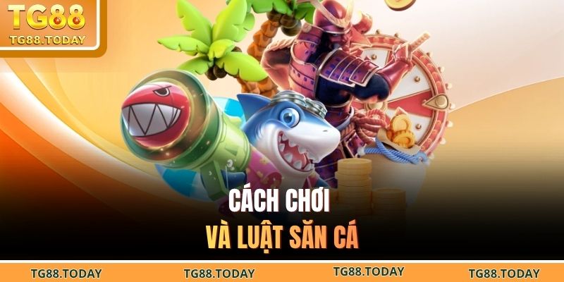 Cách chơi và luật săn cá