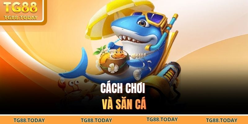 Cách chơi và săn cá