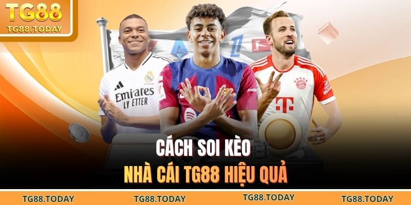 Cách soi kèo nhà cái TG88 hiệu quả 