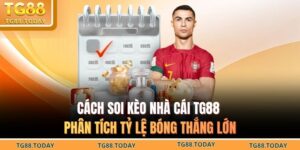 Cách soi kèo nhà cái