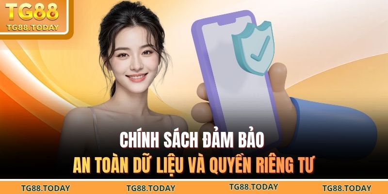 Chính sách đảm bảo an toàn dữ liệu và quyền riêng tư