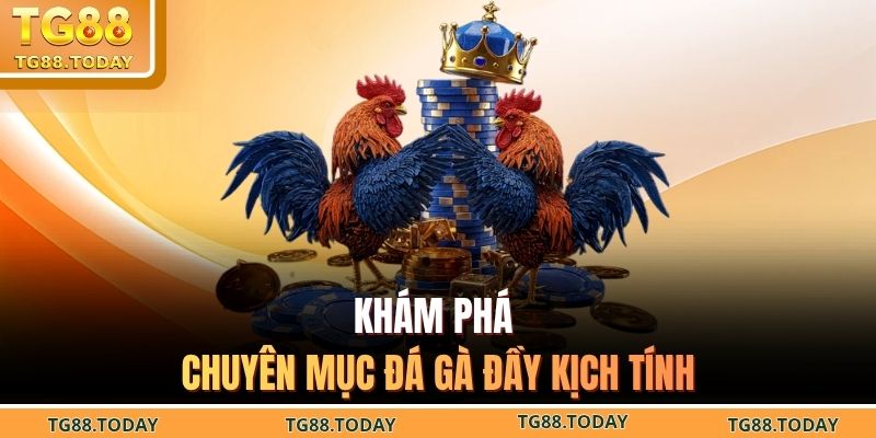 Khám phá chuyên mục đá gà đầy kịch tính