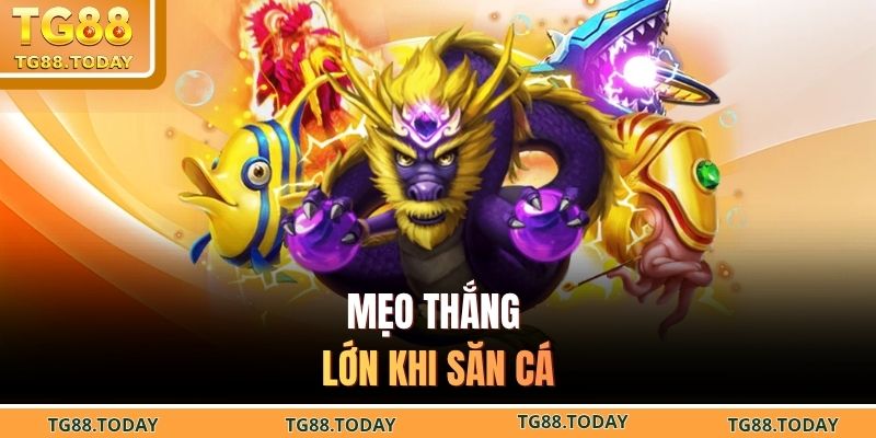 Mẹo thắng lớn khi săn cá