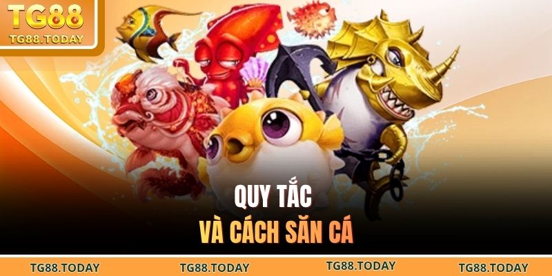 Quy tắc và cách săn cá 